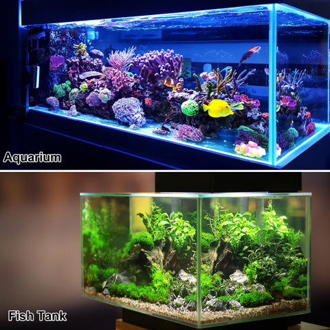 Revolutionize Your Aquarium Care with Our Premium Water Changer Siphon - Effortless Cleaning and Maintenance Tool!