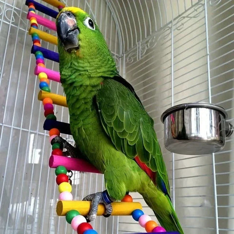 Keep Your Bird Chirping