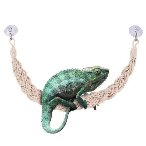 Elevate Your Hermit Crab's Habitat with Our Versatile Jute Rope Ladder - Perfect for Climbing and Exploring!