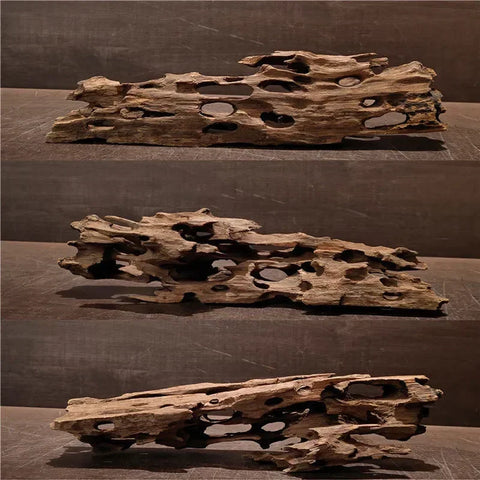 Natural Porous Wooden Driftwood for Aquariums - Unique Fish Tank Decoration for Crabs, Shrimp, and Fish