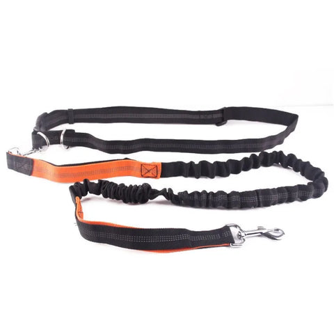 Experience Ultimate Freedom with Our Adjustable Hands-Free Dog Leash - Perfect for Walking, Running, and Jogging!