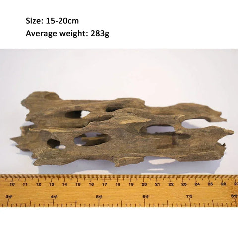 Natural Porous Wooden Driftwood for Aquariums - Unique Fish Tank Decoration for Crabs, Shrimp, and Fish