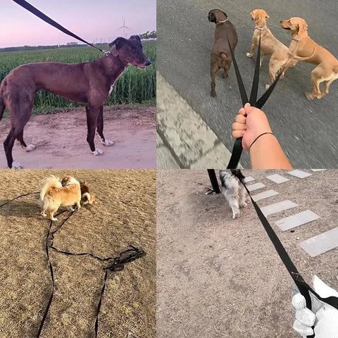 Premium Long Nylon Dog Leash - Perfect for Small to Large Dogs & Cats - Ideal for Outdoor Adventures, Hiking, and Training - Available in Multiple Lengths