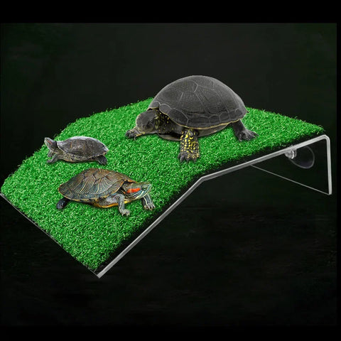 Elevate Your Aquarium with the Turtle Basking Drying Platform - Perfect Climbing Ladder for Tortoises and Reptiles!