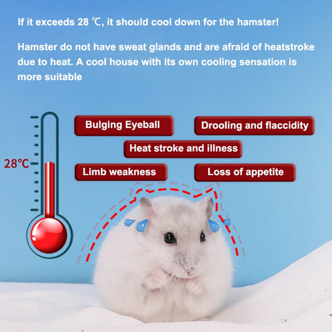 Cool Comfort for Your Furry Friend: The Golden Bear Hamster Ice House - A Summer Shelter for Small Pets