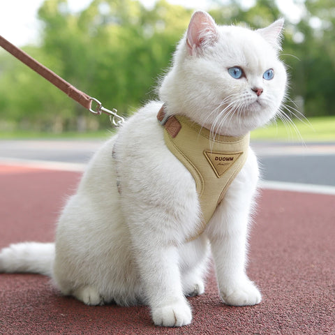 Stylish and Comfortable Cat and Puppy Harness and Leash Set - Perfect for Outdoor Adventures with Your Small Pets!