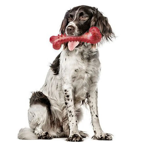 Unbreakable Beef-Flavored Chew Toys for Large Dogs - Perfect for Aggressive Chewers and Dental Health