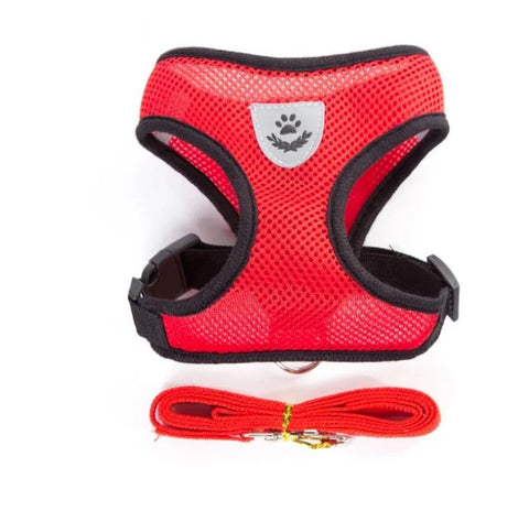 Adjustable Reflective Cat and Dog Harness with Leash - Breathable Mesh Vest for Ultimate Comfort and Safety