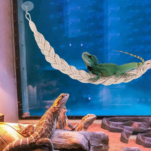 Elevate Your Hermit Crab's Habitat with Our Versatile Jute Rope Ladder - Perfect for Climbing and Exploring!