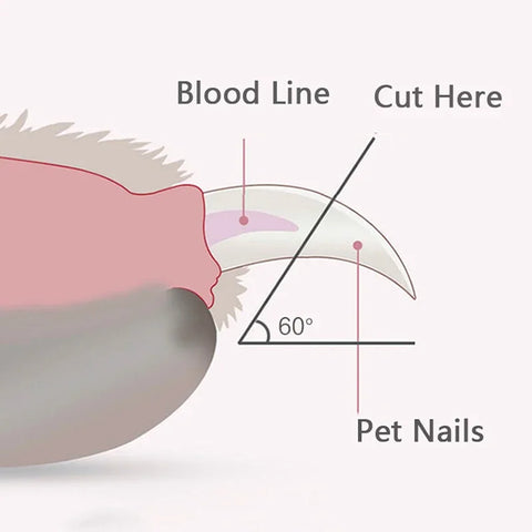 Professional LED Pet Nail Clippers – Safe and Easy Grooming Scissors for Dogs, Cats, and Small Pets