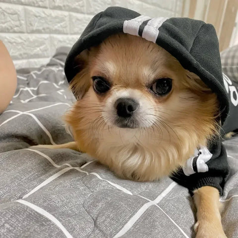 Cozy Up Your Pup with Our Adidog Autumn Winter Warm Dog Hoodies - Perfect for Medium to Large Dogs!