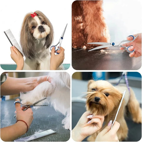 Professional 6-Inch Stainless Steel Dog Grooming Scissors - Essential Cutting Tools for Pet Hairdressers