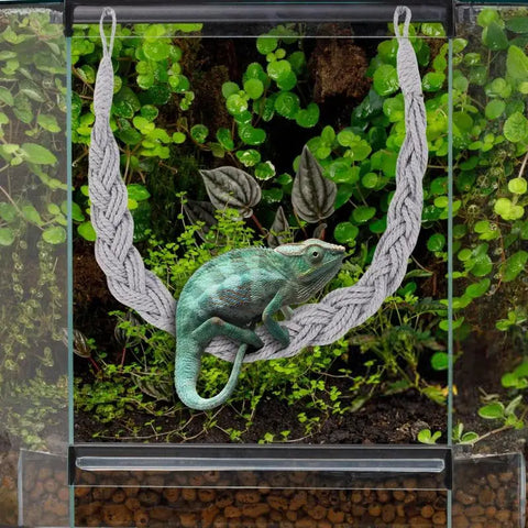 Elevate Your Hermit Crab's Habitat with Our Versatile Jute Rope Ladder - Perfect for Climbing and Exploring!