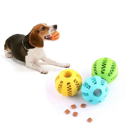 Bounce & Chew: Nontoxic Rubber Dog Toy Ball for Happy, Healthy Playtime!