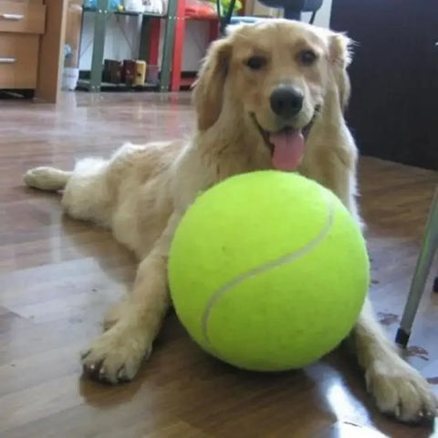 Mega Jumbo Dog Tennis Ball - Interactive Chewing Toy for Dogs | Perfect for Playtime & Training