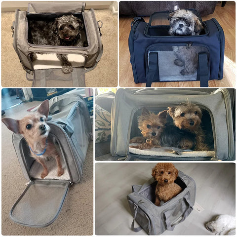 Ultimate Dog Carrier Backpack - Airline Approved Soft-Sided Travel Bag for Small Dogs and Cats