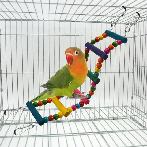 Colorful Wooden Bird Parrot Toys - Fun Hanging Ladders & Hammock Swing for Pet Birds